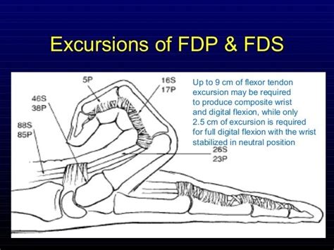 fdp meaning in medical